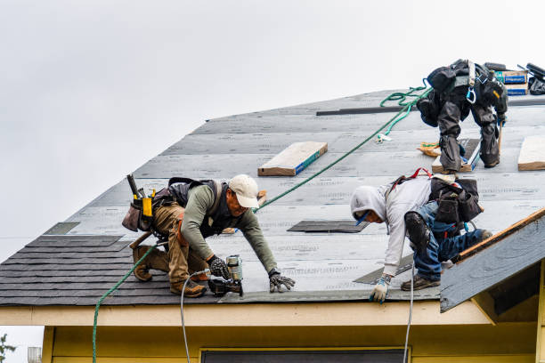 Professional Gutter Installation technician working in Ivor, VA